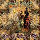 Pink Floyd Song Days '69