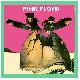 Pink Floyd Green is the Color