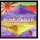 Pink Floyd Dark Side of the Rising Sun