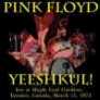 Pink Floyd Yeeshkul!