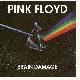 Pink Floyd Brain Damage