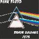 Pink Floyd Brain Damage 1975