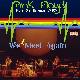 Pink Floyd We Meet Again
