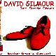 David Gilmour Red Suede Shoes