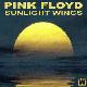 Pink Floyd Sunlight Wings