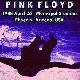 Pink Floyd Phoenix