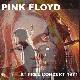 Pink Floyd At Free Concert 1971