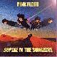 Pink Floyd Supine In The Sunshine (Rev. A)