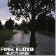Pink Floyd Heavy Rain
