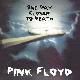 Pink Floyd One Day Closer To Death
