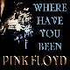 Pink Floyd Where Have You Been