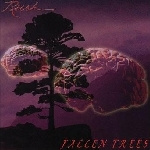 Rush Fallen Trees 