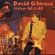 David Gilmour Irvine 24.6.84