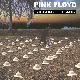 Pink Floyd Ribbon Of Black