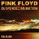 Pink Floyd Suspended Animation
