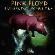 Pink Floyd Nothing From Pompeii Film