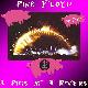Pink Floyd 3 Pigs At 3 Rivers