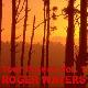 Roger Waters Tour Forest Vol. 1